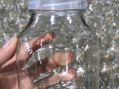 徐州生产600ml带透气孔组培玻璃瓶,厂家直销培菌玻璃瓶