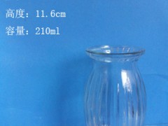批发200ml玻璃花瓶工艺玻璃瓶生产厂家